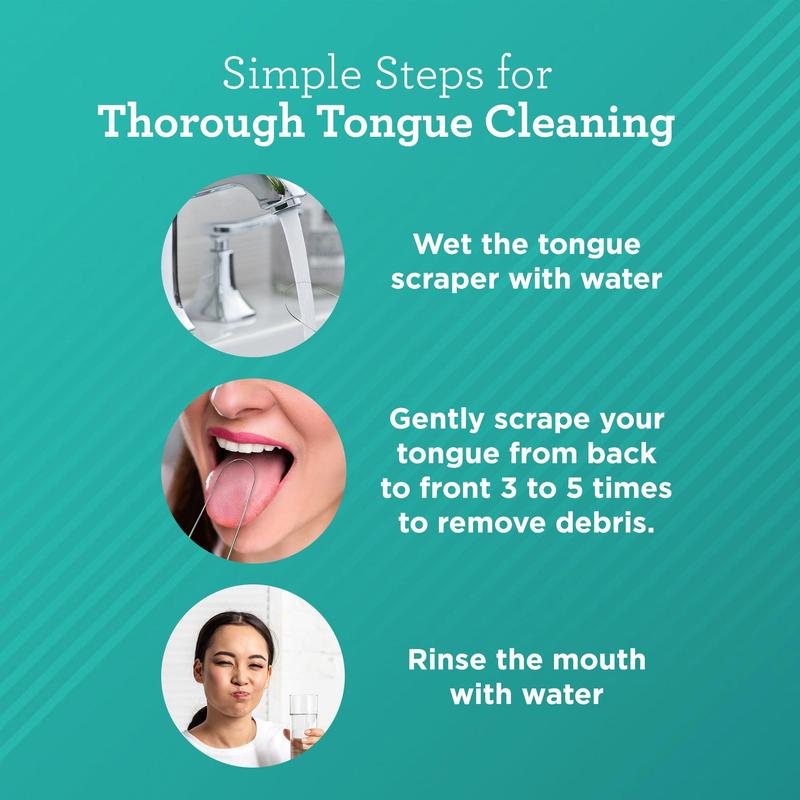 U Shaped Stainless Steel Tongue Scraper (2-Pack) Oral Case
