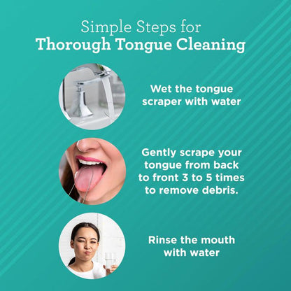 U Shaped Stainless Steel Tongue Scraper (2-Pack) Oral Case